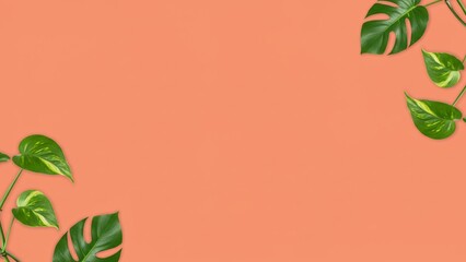 Dragon Tail Monstera (Epipremnum Pinnatum) Tropical Leaves on Coral Background - Minimal Summer Vibe