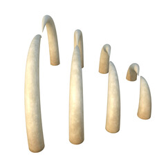 Bones, 3d illustration isolated on white background