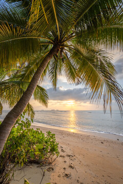 Sunset at the beach on the island of Koh Samui, Thailand