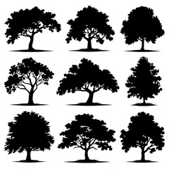 Sycamore Tree Silhouette Vector Bundle Black and White Sycamore Tree Clipart EPS Illustration