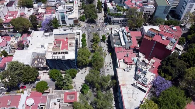 Av Masaryk Polanco Ciudad de M&eacute;xico video dron