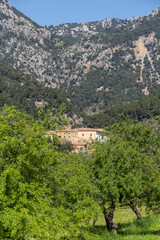 Fototapeta premium Alquería Blanca estate, Bunyola, Natural area of the Serra de Tramuntana., Mallorca, Balearic Islands, Spain