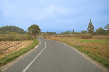 country road in autumn