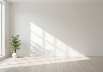 Minimalist interior design white room with plant and natural sunlight