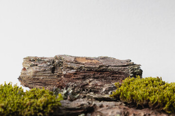 A natural podium made of wood with green moss for organic products on a white background. Space for copying.