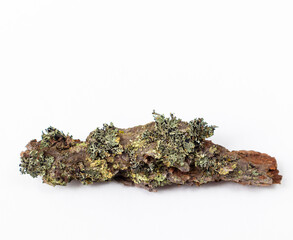 A natural podium made of wood with green moss for organic products on a white background. Space for copying.