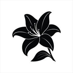 Graceful Lily Silhouette Floral Line Drawing Vector