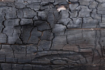 Charred Wood Surface with Distinct Cracks and Texture Details