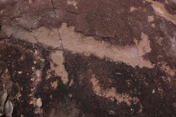 Brown and Beige Abstract Texture on Natural Rock Surface Close-up