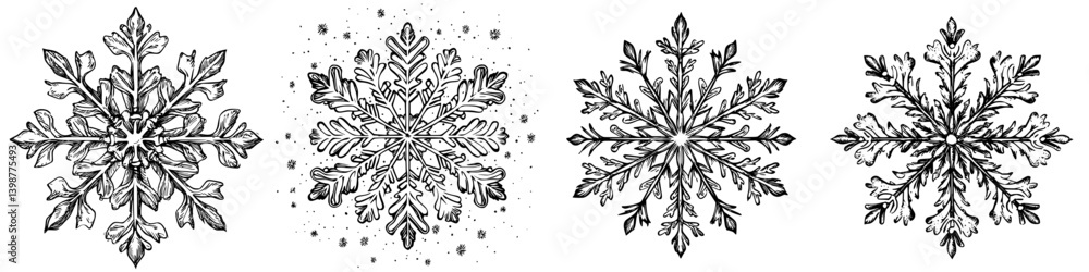 Poster intricate black and white snowflake designs showcasing unique patterns and artistic details in a sym