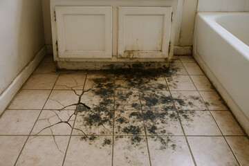 Mold and Damage in Bathroom