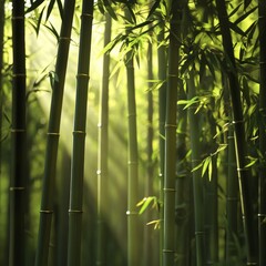 a dense bamboo forest illuminated by soft early morning light isolated on a plain background  towering bamboo with slender green stalks and gentle sunlight filtering through