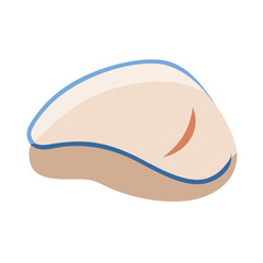  Tender Turkey Breast Meat for Sandwiches