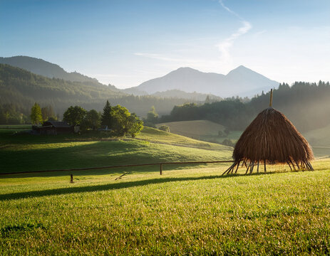A Slovenian hayrack standing tall in a green meadow with rolling hills in the distance under soft morning sunlight.