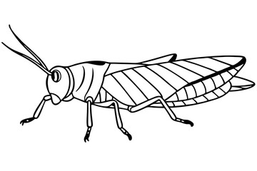 locust silhouette line art vector illustration with a white background
