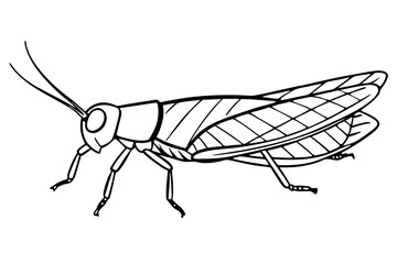 locust silhouette line art vector illustration with a white background