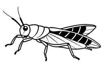locust silhouette line art vector illustration with a white background