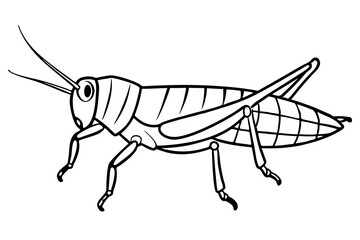 locust silhouette line art vector illustration with a white background