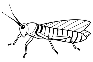 locust silhouette line art vector illustration with a white background