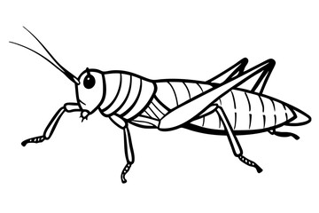 locust silhouette line art vector illustration with a white background