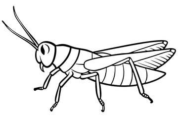 locust silhouette line art vector illustration with a white background