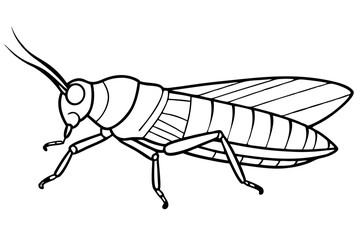 locust silhouette line art vector illustration with a white background