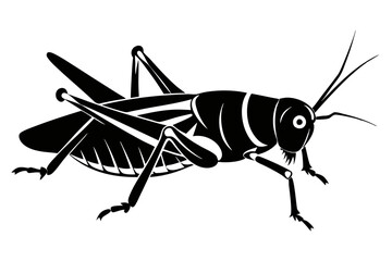 locust silhouette line art vector illustration with a white background