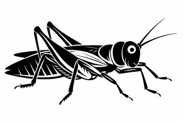 locust silhouette line art vector illustration with a white background