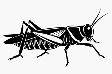 locust silhouette line art vector illustration with a white background