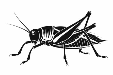locust silhouette line art vector illustration with a white background