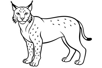 lynx silhouette line art vector illustration with a white background