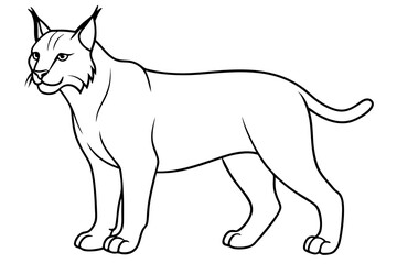 lynx silhouette line art vector illustration with a white background