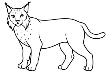 lynx silhouette line art vector illustration with a white background