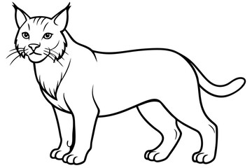 lynx silhouette line art vector illustration with a white background