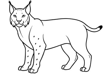 lynx silhouette line art vector illustration with a white background