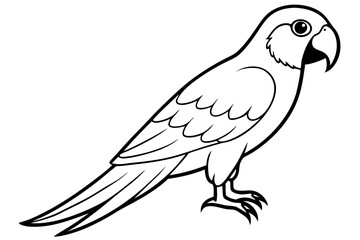 macaw silhouette line art vector illustration with a white background
