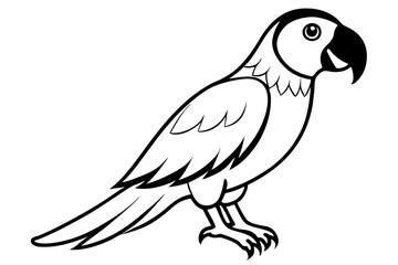 macaw silhouette line art vector illustration with a white background