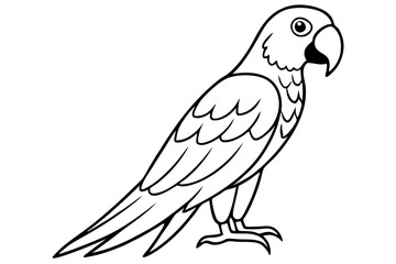 macaw silhouette line art vector illustration with a white background