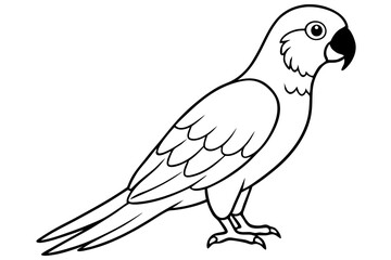 macaw silhouette line art vector illustration with a white background