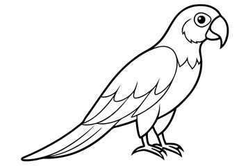 macaw silhouette line art vector illustration with a white background