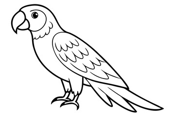 macaw silhouette line art vector illustration with a white background