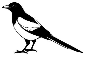 magpie silhouette line art vector illustration with a white background