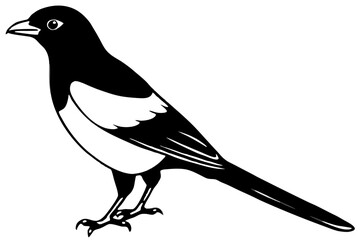 magpie silhouette line art vector illustration with a white background