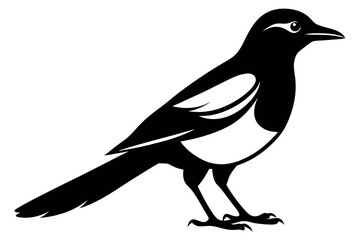magpie silhouette line art vector illustration with a white background