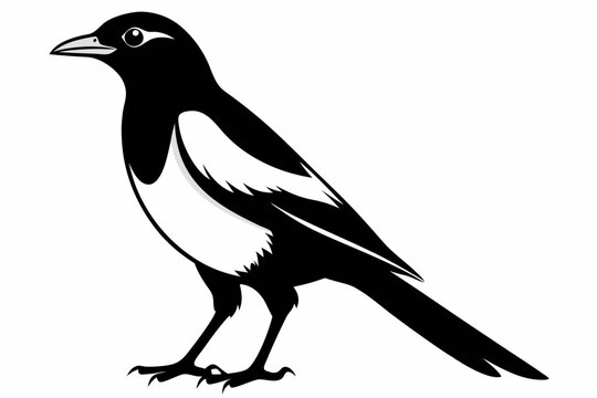 magpie silhouette line art vector illustration with a white background