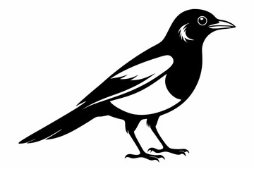 Obraz premium magpie silhouette line art vector illustration with a white background