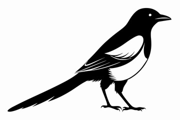 Obraz premium magpie silhouette line art vector illustration with a white background