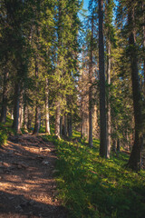 Magnificent scenery in Italy's Dolomites