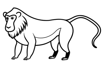 mandrill silhouette line art vector illustration with a white background