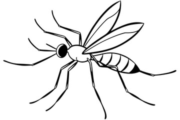 mosquito silhouette line art vector illustration with a white background